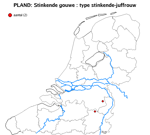 stinkende-juffrouw